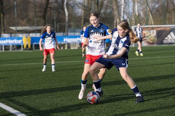Bild 358 - wBJ Hamburger SV - Hertha BSC : Ergebnis: 2:1